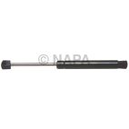 Hood / Deck Lid Lift Support Set
