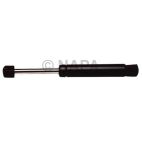 Hood / Deck Lid Lift Support Set