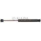 Hood / Deck Lid Lift Support Set