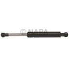 Hood / Deck Lid Lift Support Set