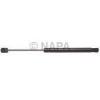 Hood / Deck Lid Lift Support Set