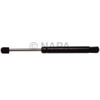 Hood / Deck Lid Lift Support Set