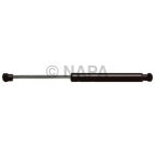 Hood / Deck Lid Lift Support Set