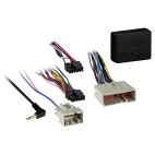 Data Interface, Ford, Stereo Automotive