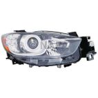 Headlight Assembly