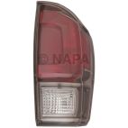 Tail Light Lens