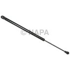 Back Glass Lift Support