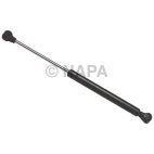Back Glass Lift Support
