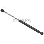 Back Glass Lift Support