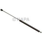 Back Glass Lift Support