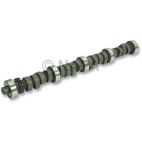 Engine Camshaft