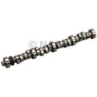 Engine Camshaft