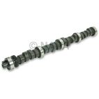 Engine Camshaft