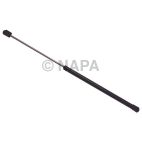 Hood / Deck Lid Lift Support Set
