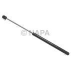 Back Glass Lift Support