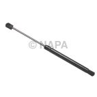Back Glass Lift Support