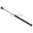Hood / Deck Lid Lift Support Set
