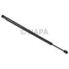 Hood / Deck Lid Lift Support Set