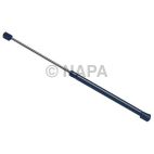 Back Glass Lift Support