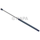 Back Glass Lift Support