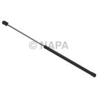 Back Glass Lift Support