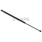 Hood / Deck Lid Lift Support Set