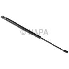Hood / Deck Lid Lift Support Set