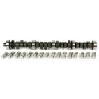Engine Camshaft Kit