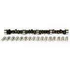 Engine Camshaft Kit