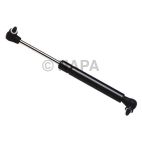 Hood / Deck Lid Lift Support Set