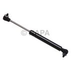 Hood / Deck Lid Lift Support Set