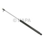 Hood / Deck Lid Lift Support Set