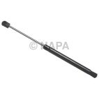 Hood / Deck Lid Lift Support Set
