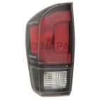 Tail Light Lens