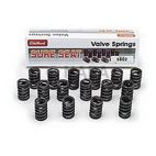 Engine Valve Spring Kit