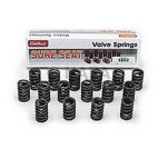 Engine Valve Spring Kit