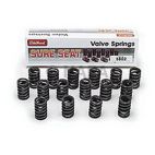 Engine Valve Spring Kit