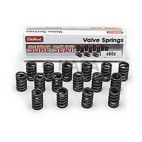 Engine Valve Spring Kit