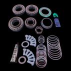 Axle Differential Bearing and Seal Kit