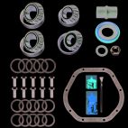 Axle Differential Bearing and Seal Kit
