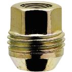 Plated Lug Nut