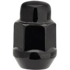 Black Coated Lug Nut
