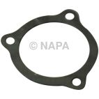 Exhaust Pipe Flange Gasket