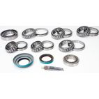 Differential Bearing & Seal Kit - Rear - H/D Truck