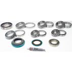 Differential Bearing & Seal Kit - Rear - H/D Truck