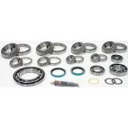 Differential Bearing & Seal Kit - Rear - H/D Truck