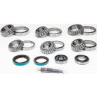 Differential Bearing & Seal Kit - Rear - H/D Truck