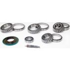Differential Bearing & Seal Kit - Rear - H/D Truck