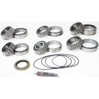 Differential Bearing & Seal Kit - Rear - H/D Truck