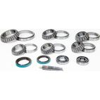 Differential Bearing & Seal Kit - Rear - H/D Truck